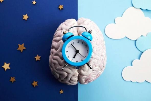 الساعة البيولوجية تتحدى تأثيرات الحياة المعاصرة