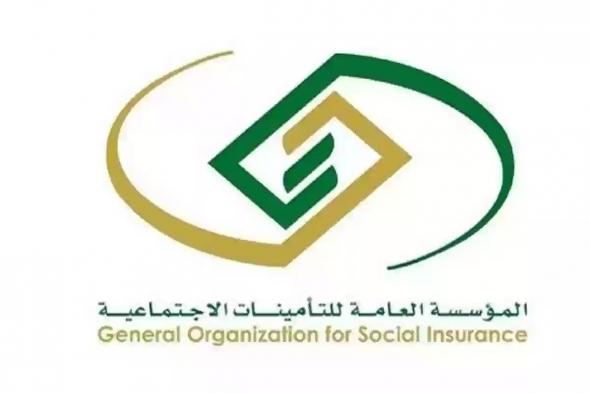هل تؤثر الأعمال الحرة على المعاش التقاعدي؟.. التأمينات الاجتماعية تجيب