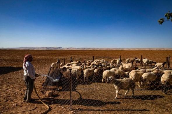 الجفاف يطال 53% من أراضي أوروبا وحوض المتوسط في مايو