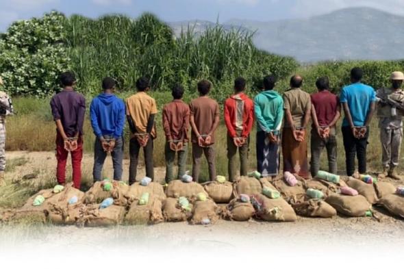 القبض على 10 مخالفين لنظام أمن الحدود لتهريبهم 220 كيلوجرامًا من القات بعسير
