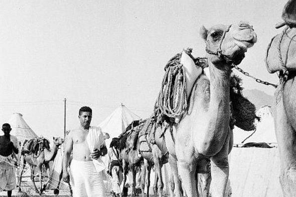 درب الحج المصري إلى مكة.. إرث ثقافي يطرق أبواب اليونسكو