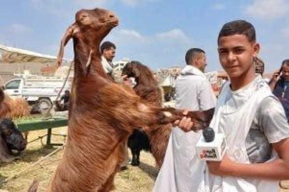 الجديان الباكستاني أغلى أضحية في سوق المواشى بالشرقية.. فيديو وصور