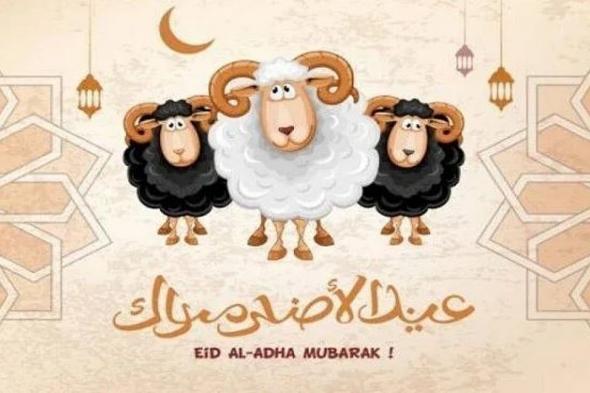 من الاغتسال إلى الذبح.. أبرز سنن عيد الأضحى المبارك كما وردت عن النبي