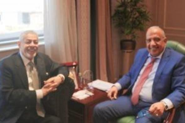 وزير الكهرباء يبحث مع AMEA POWER الإماراتية زيادة التعاون فى الطاقة المتجددة