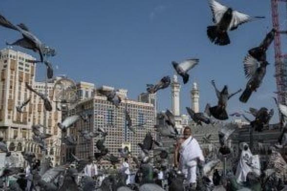 نجاح نفرة الحجاج من عرفات إلى المزدلفة.. وجهود متميزة لبعثة حج القرعة