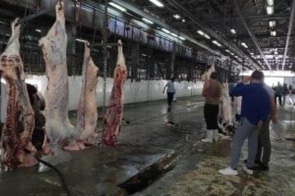 خريطة مجازر محافظة قنا لذبح الأضاحي مجانا خلال عيد الأضحى