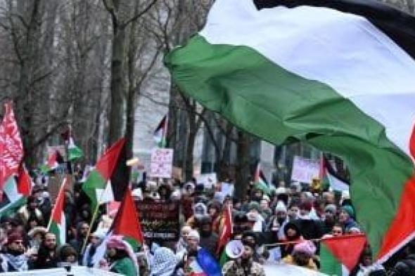 حزب الوعى: قرار "العمل الدولية" اعتراف وانتصار تاريخى لفلسطين