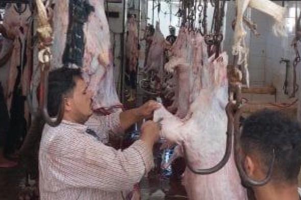الطب البيطري بالدقهلية يوضح شروط ذبح الأضحية.. عدم المبالغة في القطع أبرزها