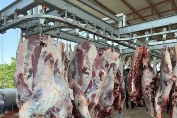 حوادث ذبح الأضاحي تتسبب في دخول المئات من الجزارين عديمي الخبرة إلى المستشفيات التركية