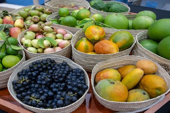 خيرات مزارع الإمارات تزين «سلة فواكه الدار» بـ238 صنفاً