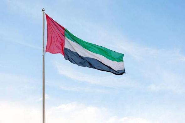 الإمارات تدعو إلى حشد دعم دولي لوقف العدوان الإسرائيلي على غزة (فيديو)