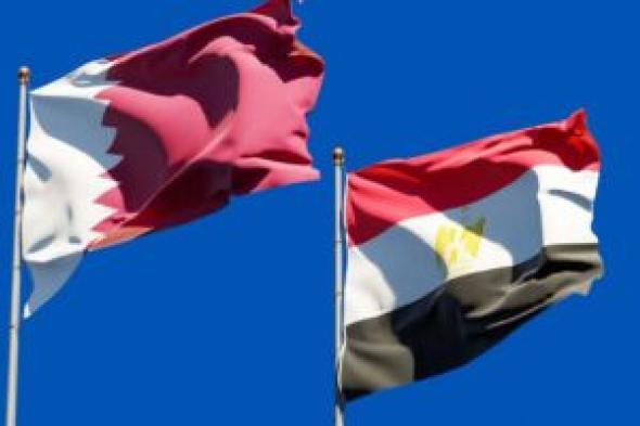 تعطيل العمل بالقسم القنصلى بسفارتنا فى الدوحة الاثنين تزامنا مع القمة العربية