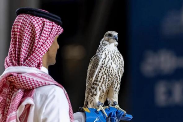 بيع 3 صقور بقيمة تقارب مليون ريال ضمن فعاليات معرض الصقور والصيد السعودي الدولي 2025