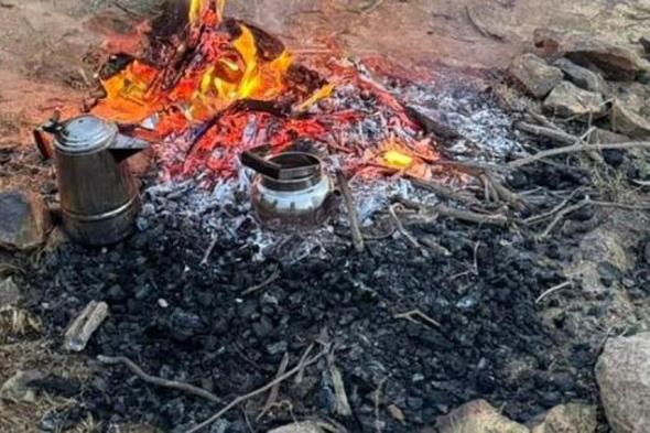 ضبط مواطن لإشعال النار في غير الأماكن المخصصة لها بمحمية الملك عبدالعزيز الملكية