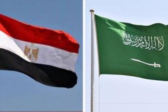 خبير علاقات دولية: الشراكة المصرية السعودية عنوان الثبات فى زمن الاضطرابات