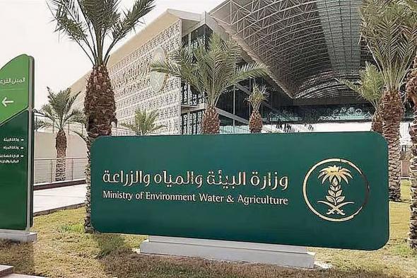مسؤول بوازرة البيئة: رؤية القطاع غير الربحي تهدف لتجاوز 10 الآف جمعية