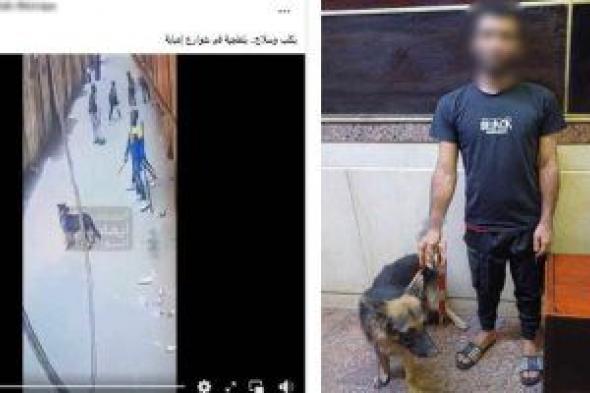 ضبط شخص ظهر فى فيديو يحمل سلاحًا وكلبًا ويروع المارة بالجيزة