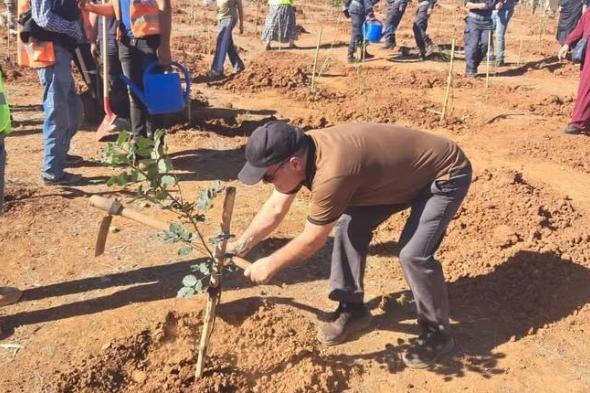 الجزائر تزرع مليون و 390 ألف شجرة في يوم واحد