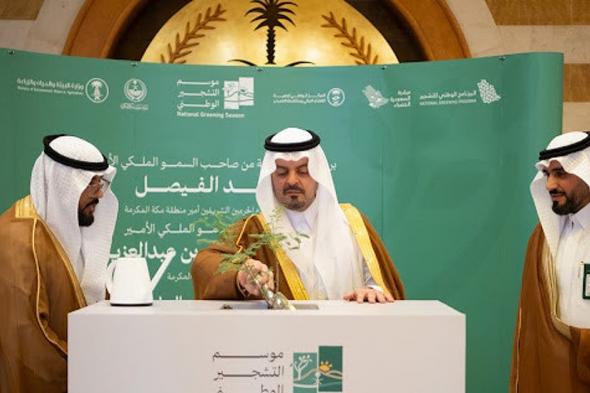 برعاية أمير مكة.. الأمير سعود بن مشعل يدشّن فعاليات موسم التشجير الوطني بزراعة شجرة الرَّنَف المحلية