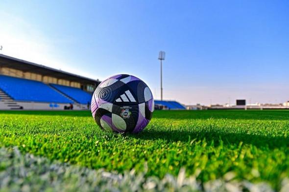 الجولة السابعة من دوري روشن.. الأهلي يستضيف الرياض ونشوة الفتح تهدد ضمك