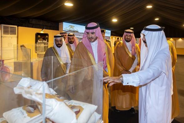 شاهد: أمير منطقة الجوف يدشّن مهرجان "قريات الملح" السنوي في نسخته الأولى