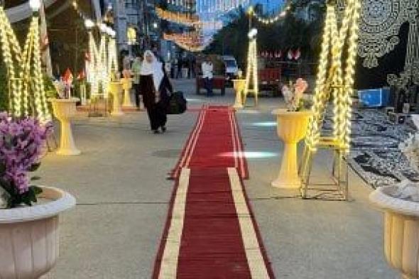 شوارع الدقهلية تتزين بالأعلام وشاشات لعرض افتتاح المتحف المصرى الكبير.. فيديو