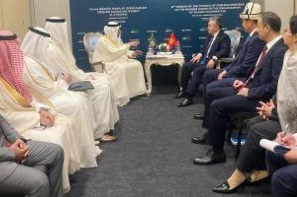 التعاون الإسلامى يجمع مصر وقيرغستان.. تفاهمات ومواقف مشتركة