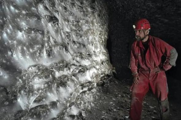 العثور على أكبر شبكة عنكبوت في العالم