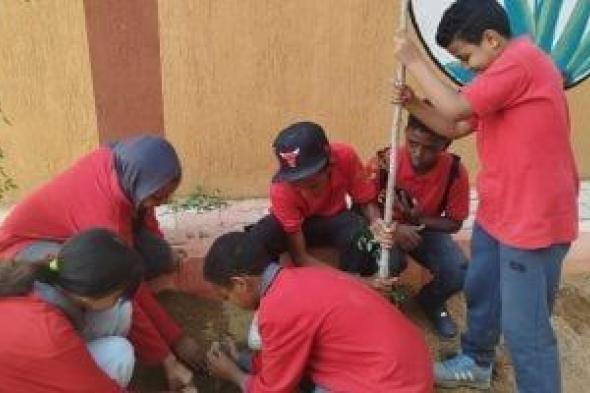 زراعة الأشجار داخل المدارس بأسوان ضمن المبادرة الرئاسية
