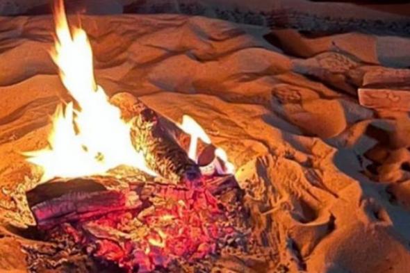 الأمن البيئي يضبط مواطنًا مخالفًا في المنطقة الشرقية