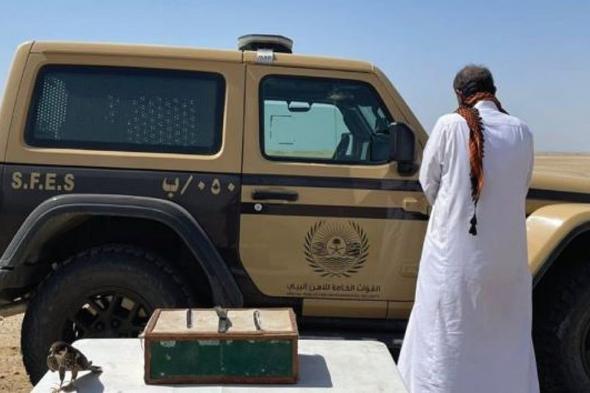 بحوزته صقر و3 كائنات فطرية.. القبض على مواطن لارتكابه الصيد دون ترخيص في ينبع