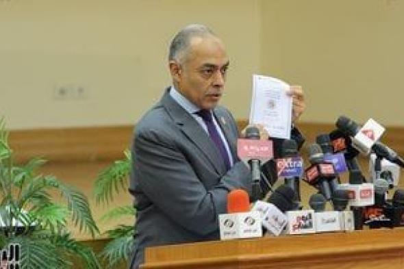 سفراء مصر فى أوروبا وإفريقيا: انتظام أول أيام انتخابات مجلس النواب بالخارج