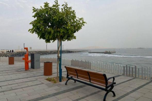 بلدية أبوظبي تتيح حجز الشواطئ مجاناً للمؤسسات والمدارس