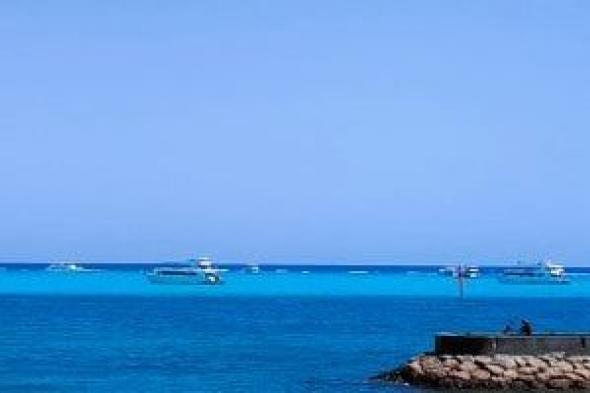 نائب بالشيوخ: الصفقة المصرية القطرية خطوة استراتيجية لتعزيز التعاون