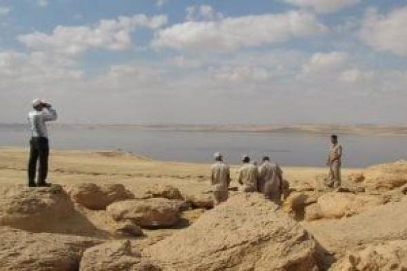 جزيرة القرن الذهبى بالفيوم فوقها 175 نوعا من الطيور المهاجرة النادرة.. صور