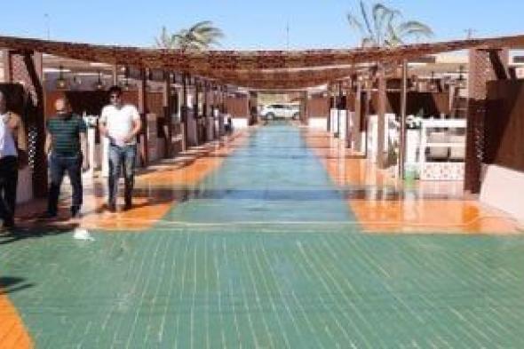 انطلاق فعاليات المهرجان الدولى الثامن للتمور المصرية بالواحات البحرية.. فيديو