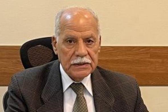 العربى الناصرى: مشاركة المصريين بالخارج فى الانتخابات مشهد وطنى