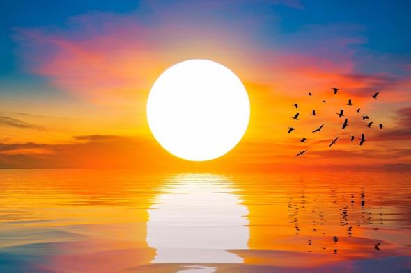 إيلون ماسك يقرر التدخل في طريقة عمل «الشمس» وإجراء «تعديلات طفيفة» عليها !