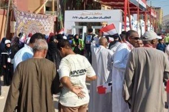 إقبال ملحوظ من الناخبين على لجان التصويت فى أسوان.. فيديو