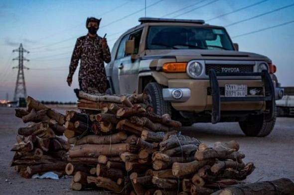 ضبط مواطن في حائل بحوزته حطب محلي معروض للبيع