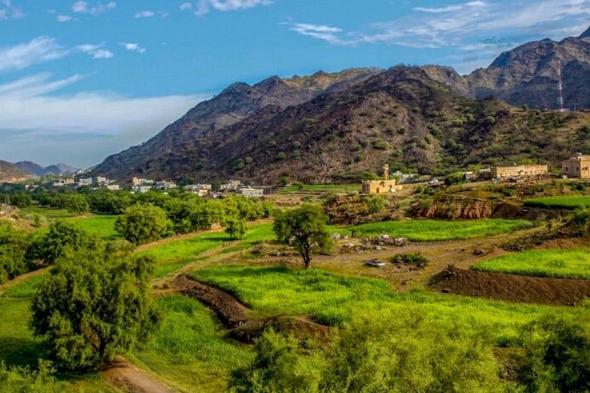 عسير تشارك في قمة "تورايز 2025" لتعزيز حضورها العالمي في صناعة السياحة