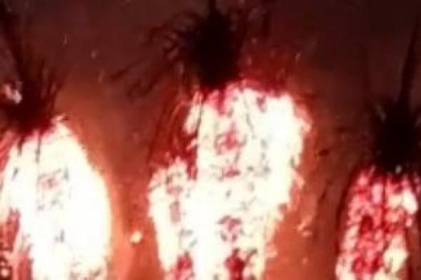 السيطرة على حريق بنخيل ببنها فى القليوبية دون خسائر بشرية