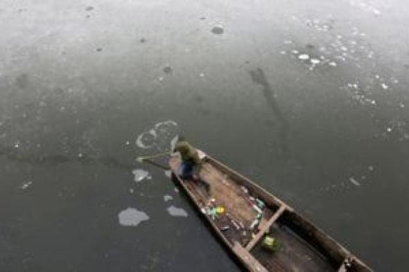 الحبس والغرامة حال التخلف عن تقديم بيانات الإنتاج السمكى.. اعرف العقوبة