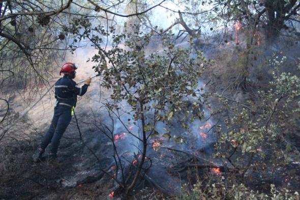 المدية.. اندلاع حريق في غابة خزرون بالحمدانية 