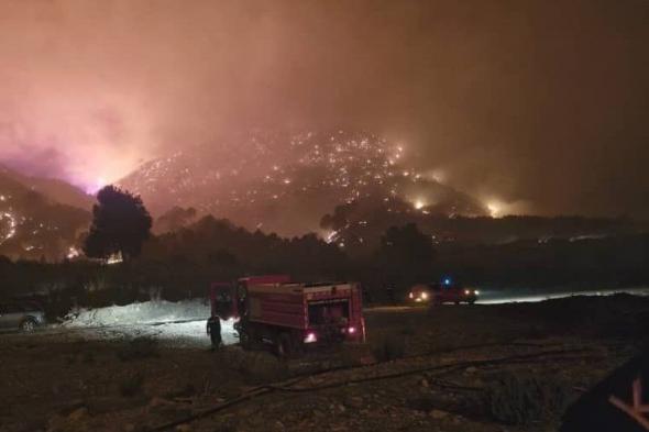 تيبازة.. استمرار جهود الإخماد لثلاثة حرائق غابات خطيرة بدعم جوي وبري