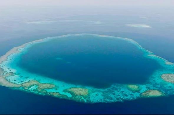 الرئيس التنفيذي في المركز الوطني لتنمية الحياة الفطرية: محميتا "الثقوب الزرقاء" و"رأس حاطبة" تؤكدان جهود السعودية في حماية البيئة البحرية