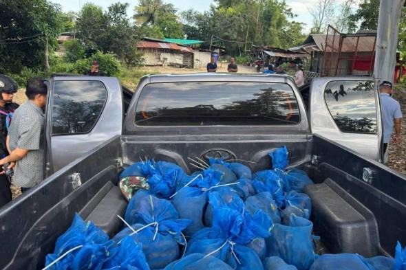 إحباط تهريب 81 قرد مكاك في تايلاند