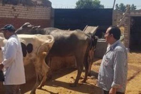 تعرف على أهم إجراءات الوقاية من الحمى القلاعية