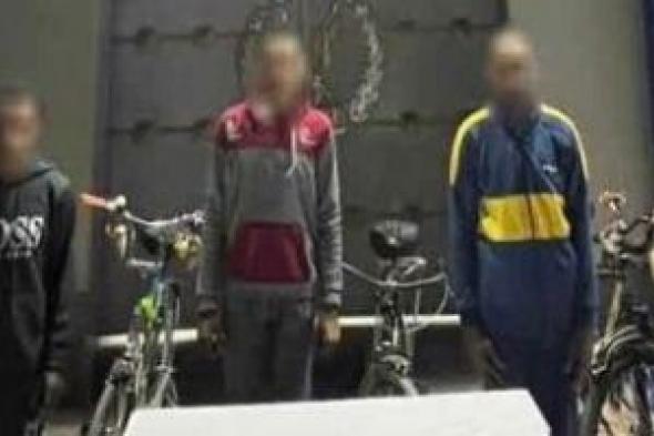 ضبط 3 متهمين تحرشوا بفتاة وضربوها أثناء سيرها فى أحد شوارع المحلة