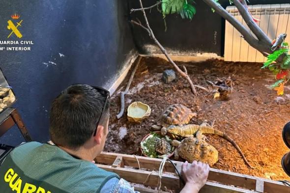 إسبانيا تنقذ حيوانات في محمية غير قانونية